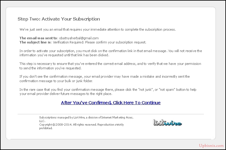 e mail marketing list building