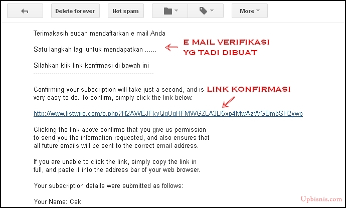 e mail marketing list building