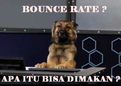 bounce rate dog knowyourmeme