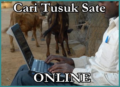 rural-internet